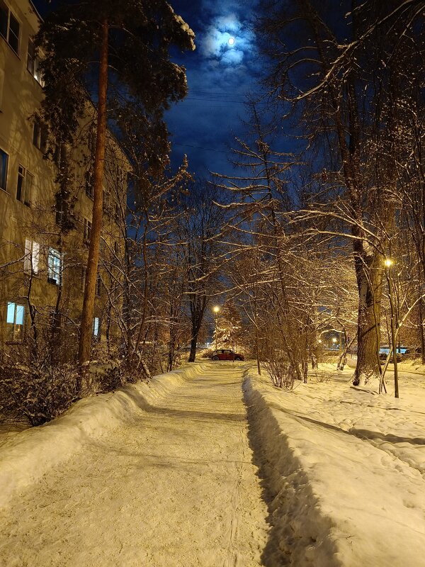 Вечером при луне - Мария Васильева