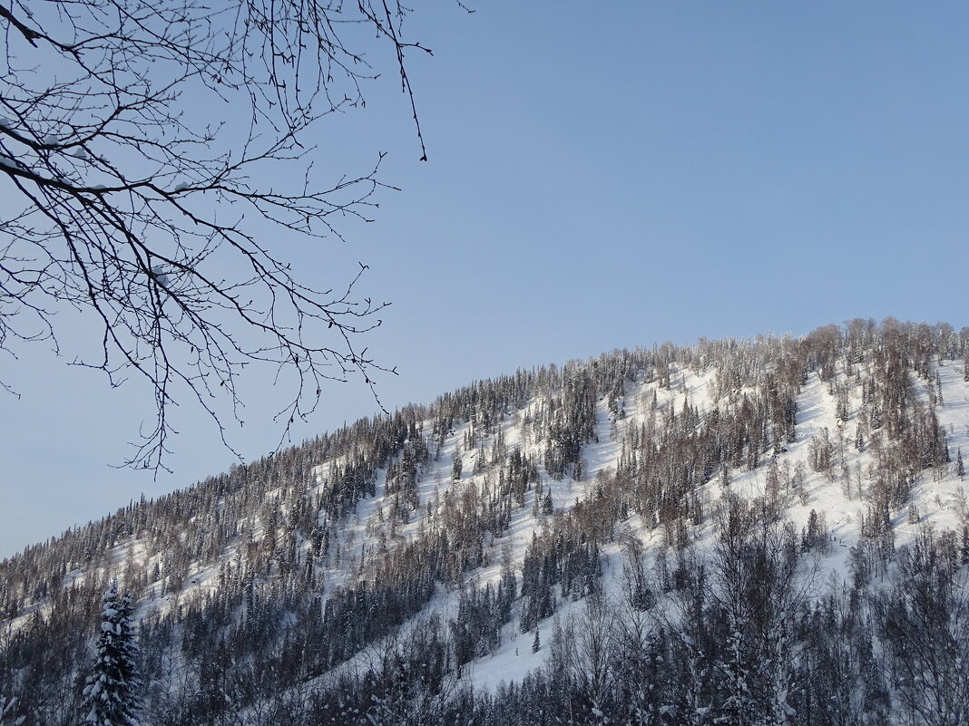 Вид на гору с дикой трассой - Павел Трунцев