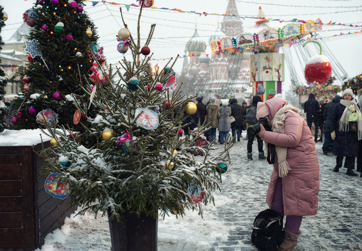 охота за новогодним фото) - Лилия .