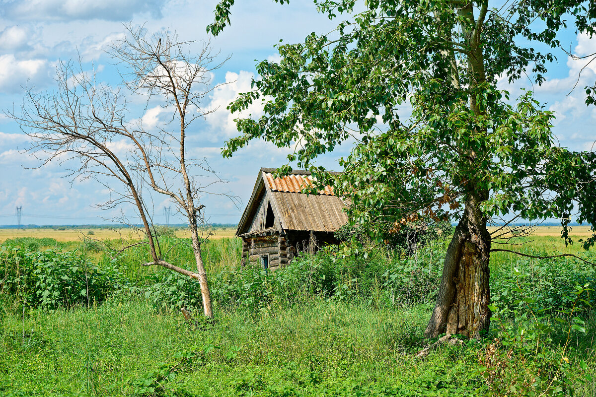 Сибирская глубинка, домики в деревне - Дмитрий Конев