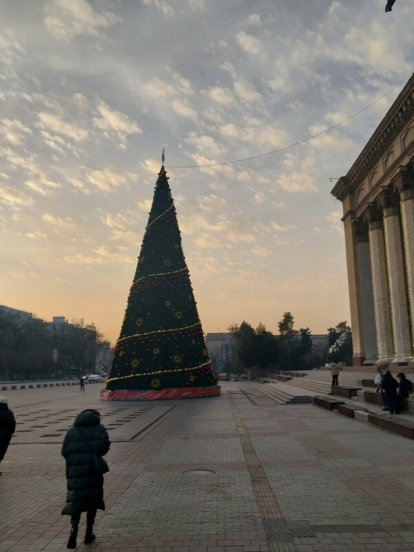 Almaty. - Murat Bukaev 