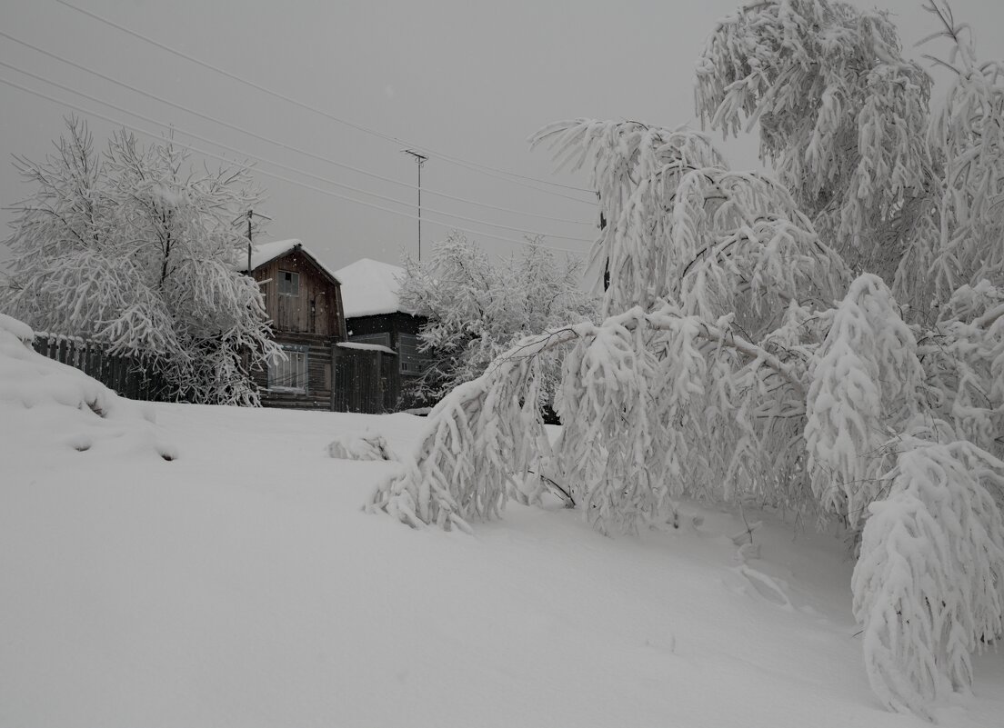 Под тяжестью снега - Сергей Шаврин