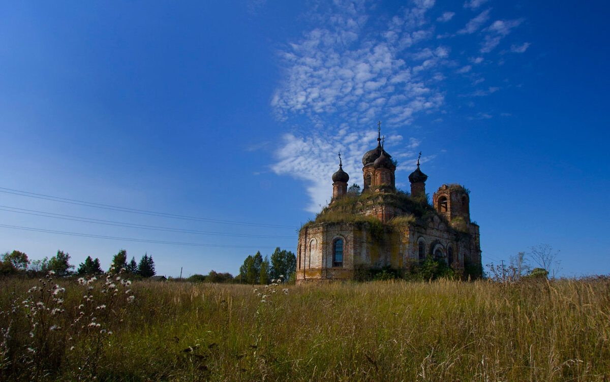 В области - Пасечник 