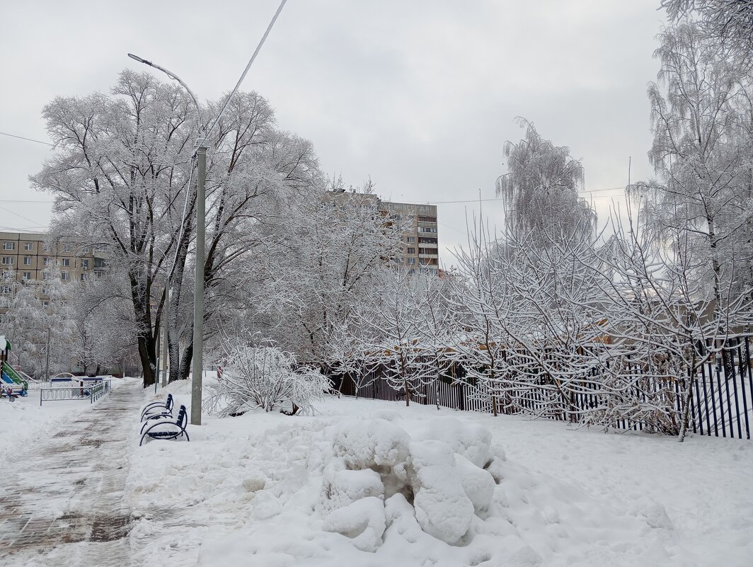 Когда много снега - Елена Семигина