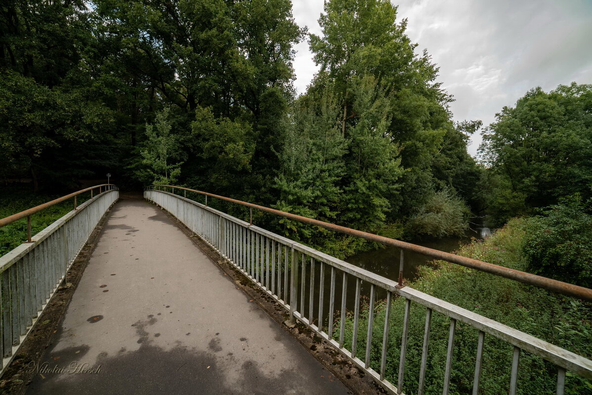 Мост - Николай Гирш