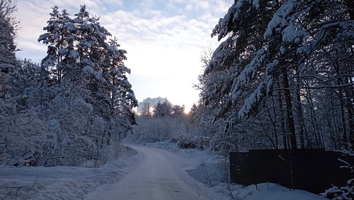 Зима в лесу - Николай 