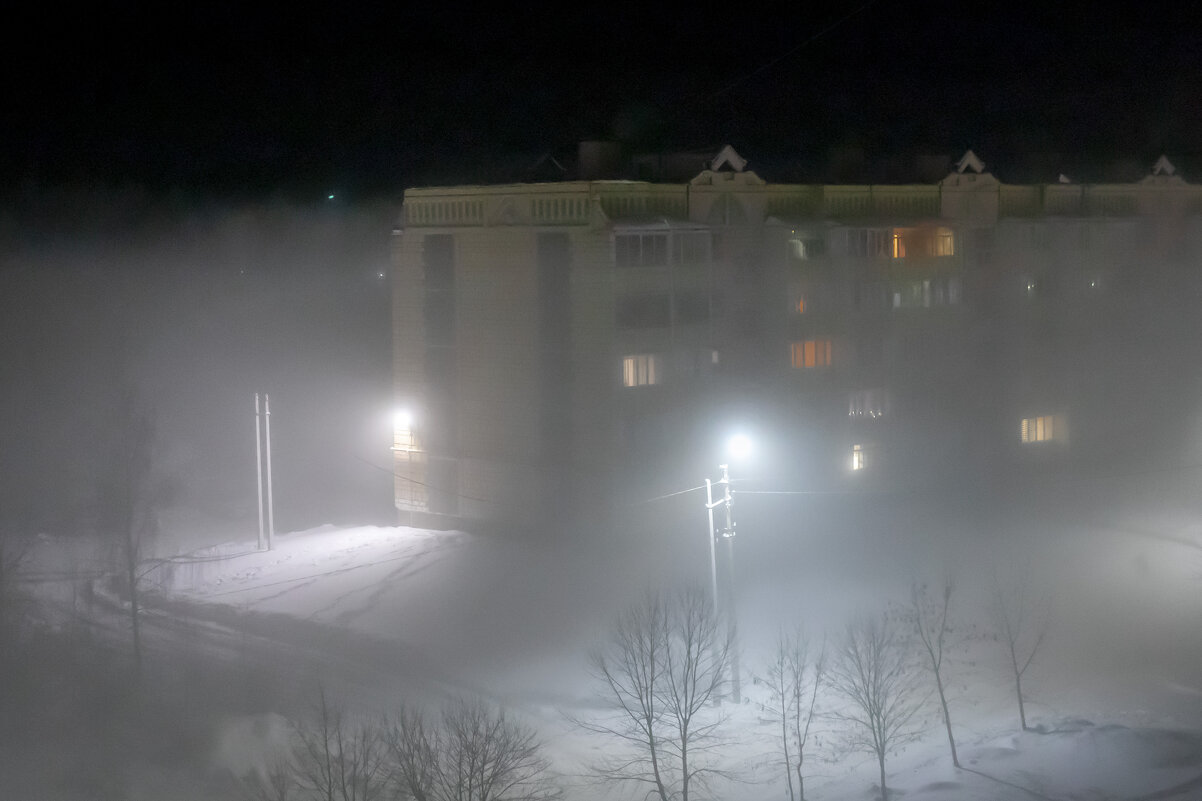 Ночь , туман, зима - Любовь Перевозникова