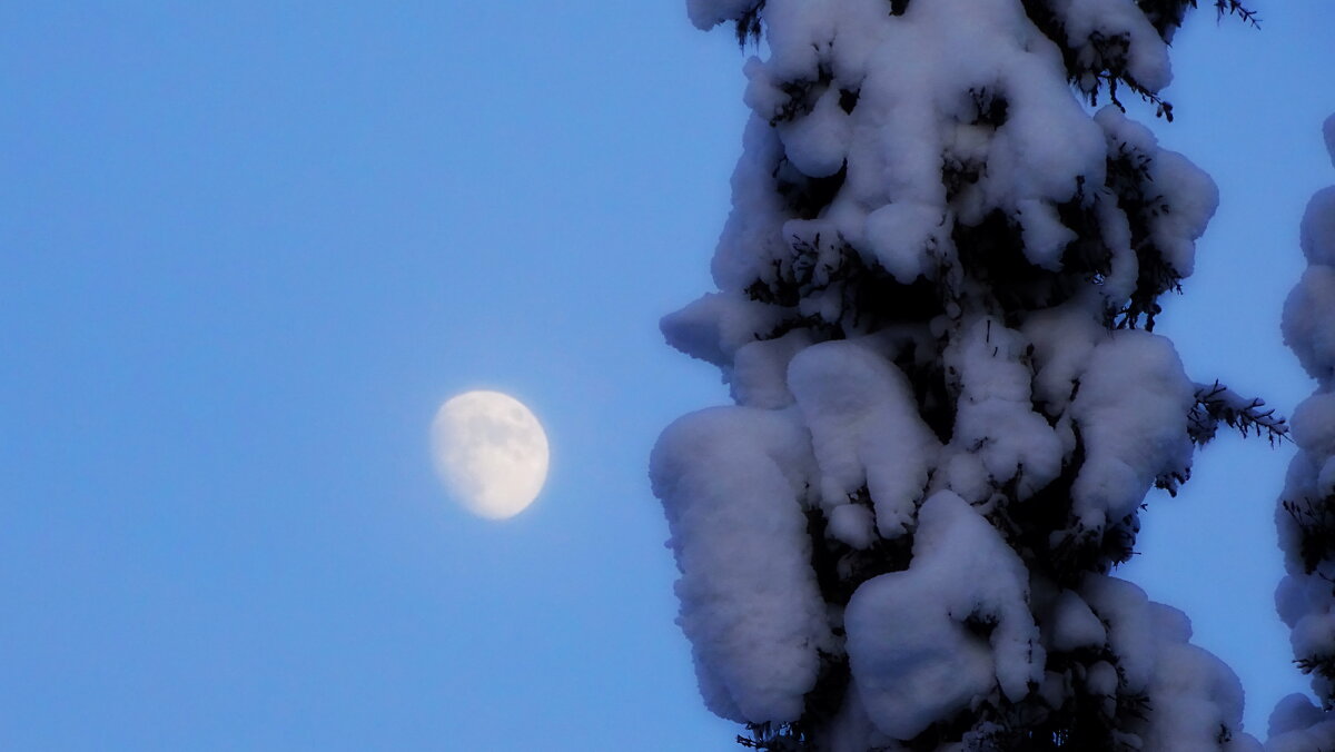 Холодная луна - Павел Трунцев