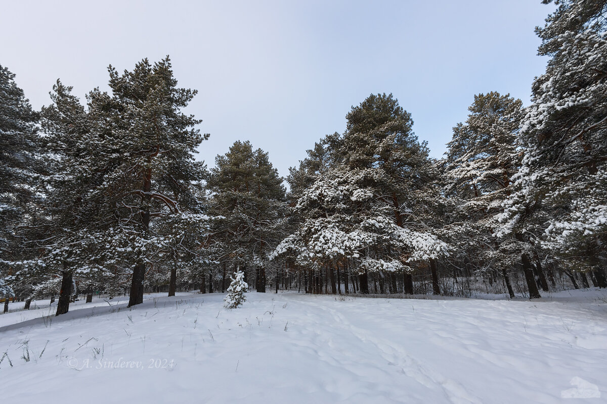Снежный пейзаж - Александр Синдерёв