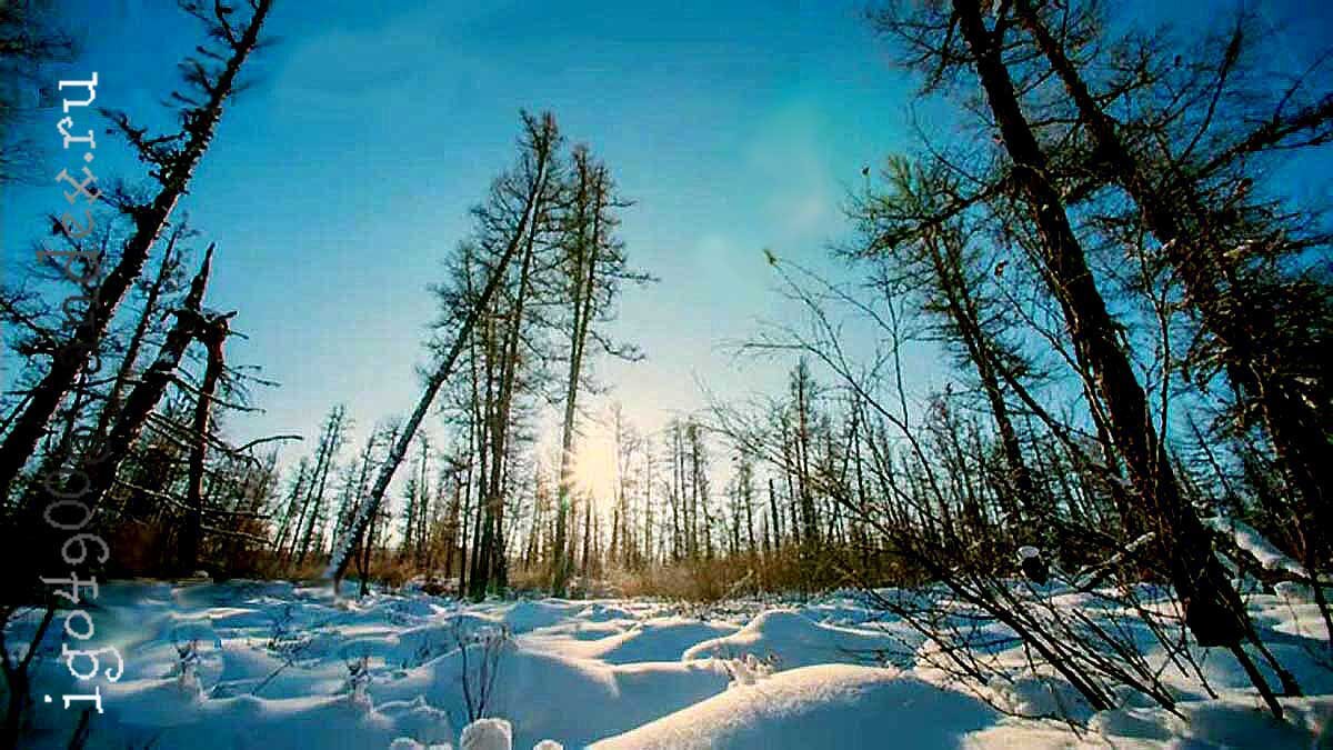 Мороз и солнце ... wonderful day...! - Игорь Пляскин