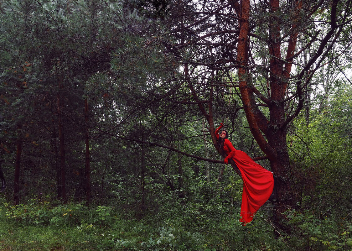 Красный — страсть, сила, изящество - Валерий Гришин