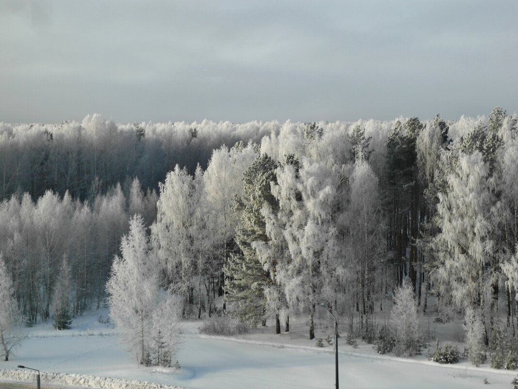 природа зимой - Владимир 