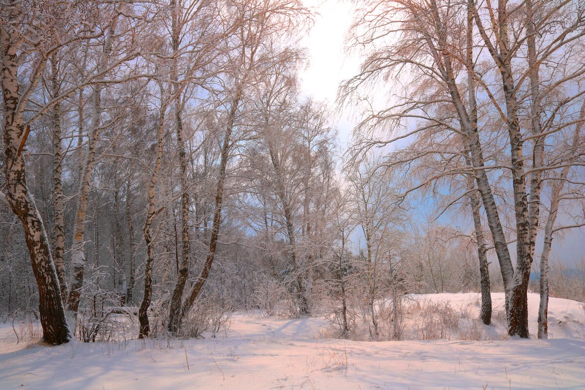 После снегопада - владимир тимошенко 