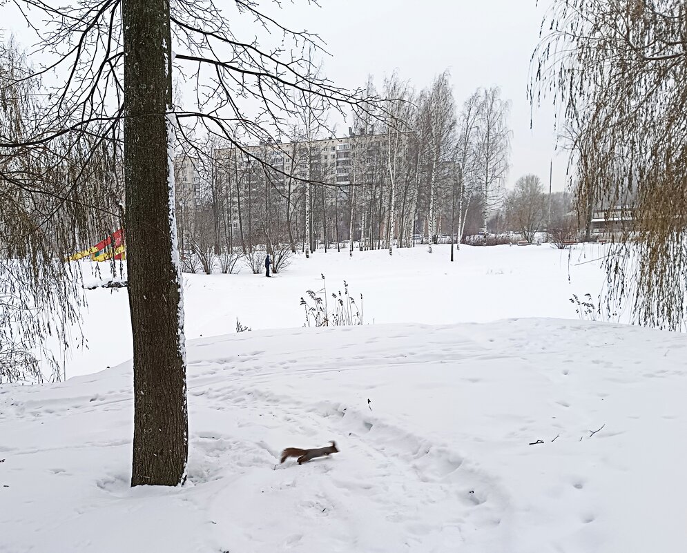 В зимнем парке... - Мария Васильева