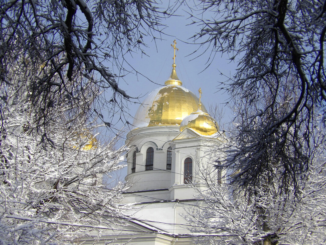 Золотые купола собора Александра  Невского - Валентин Семчишин