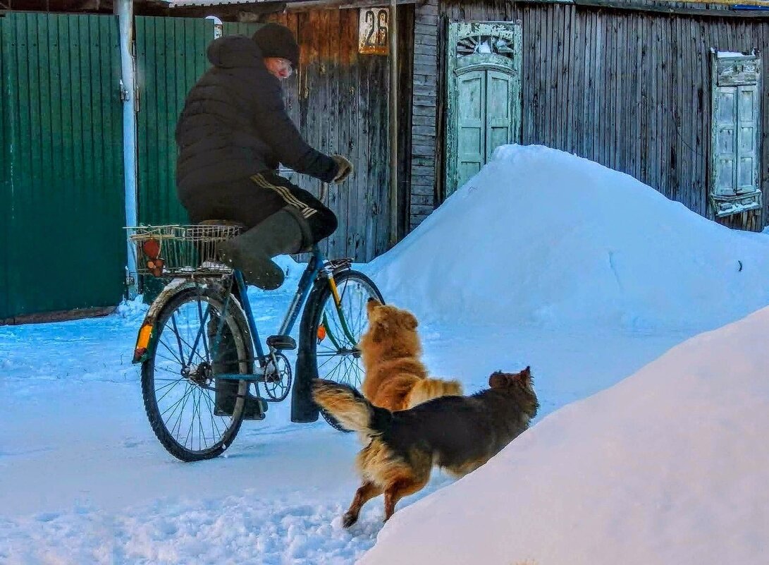 "Нападение " на зимнего велосипедиста! :) - Елена Хайдукова  ( Elena Fly )