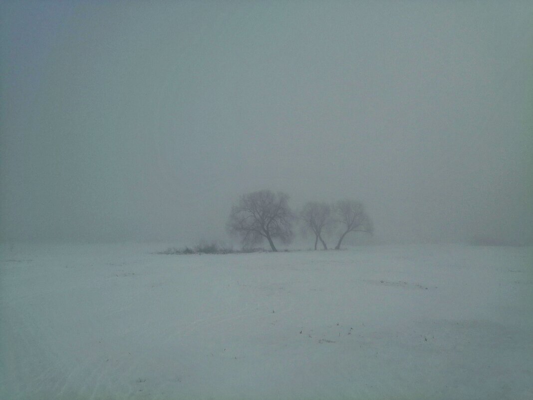 В тумане.... - Vladimir Semenchukov
