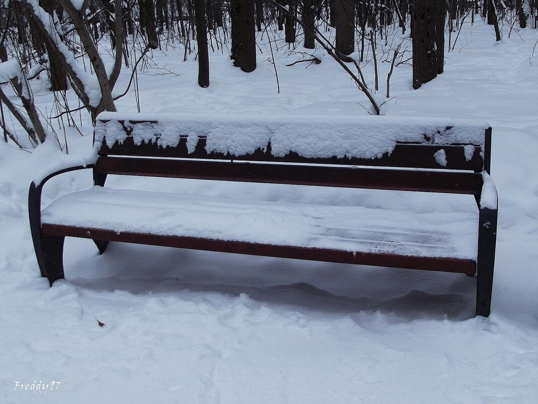 В парке старая скамейка впала в дрёму зимних дней, белоснежная шубейка согревает спину ей. - Freddy 97