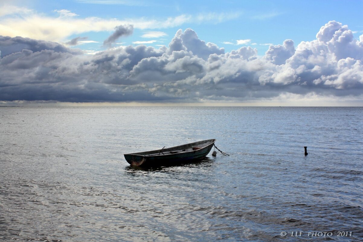 Пейзаж с лодкой - Liudmila LLF