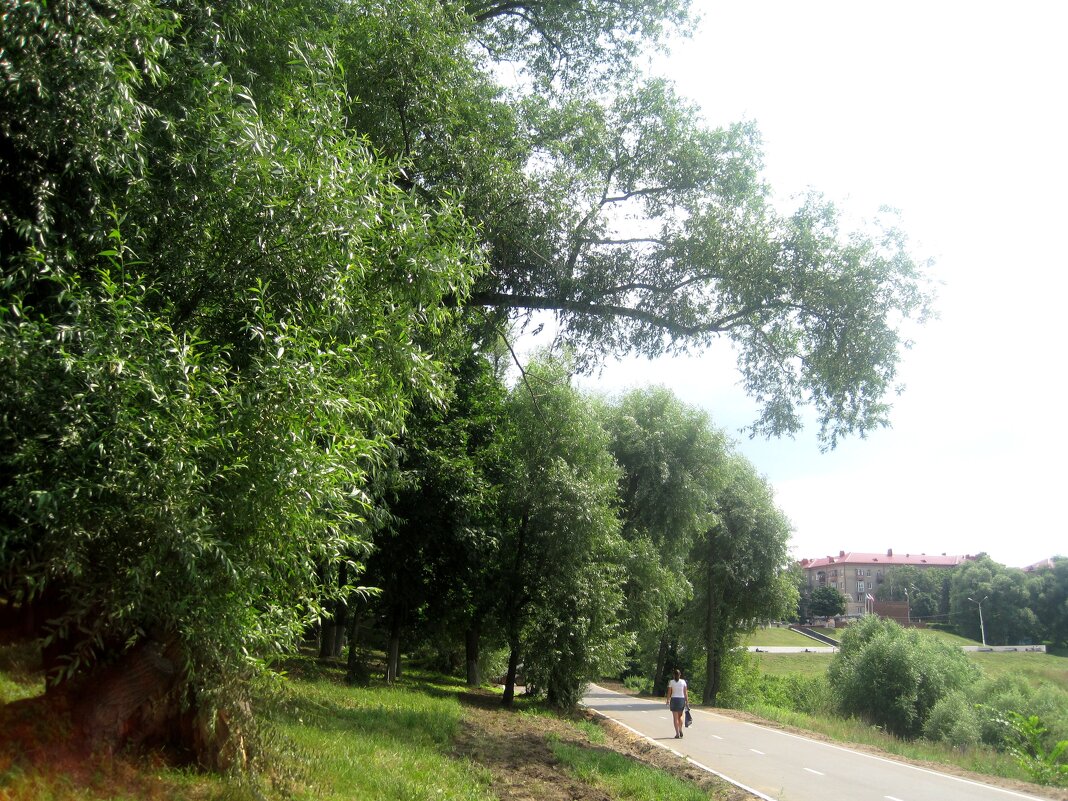Летом в парке - Елена Семигина