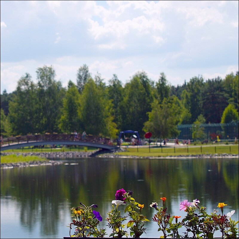 По Зоопарку - Сеня Белгородский