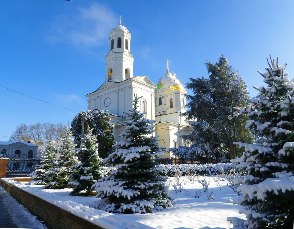 Костел контакт