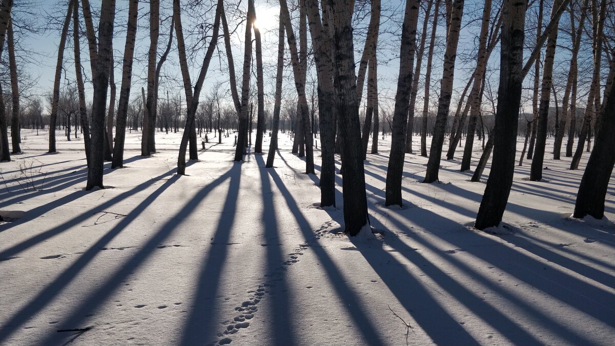 Зимнее Солнце - Андрей Хлопонин