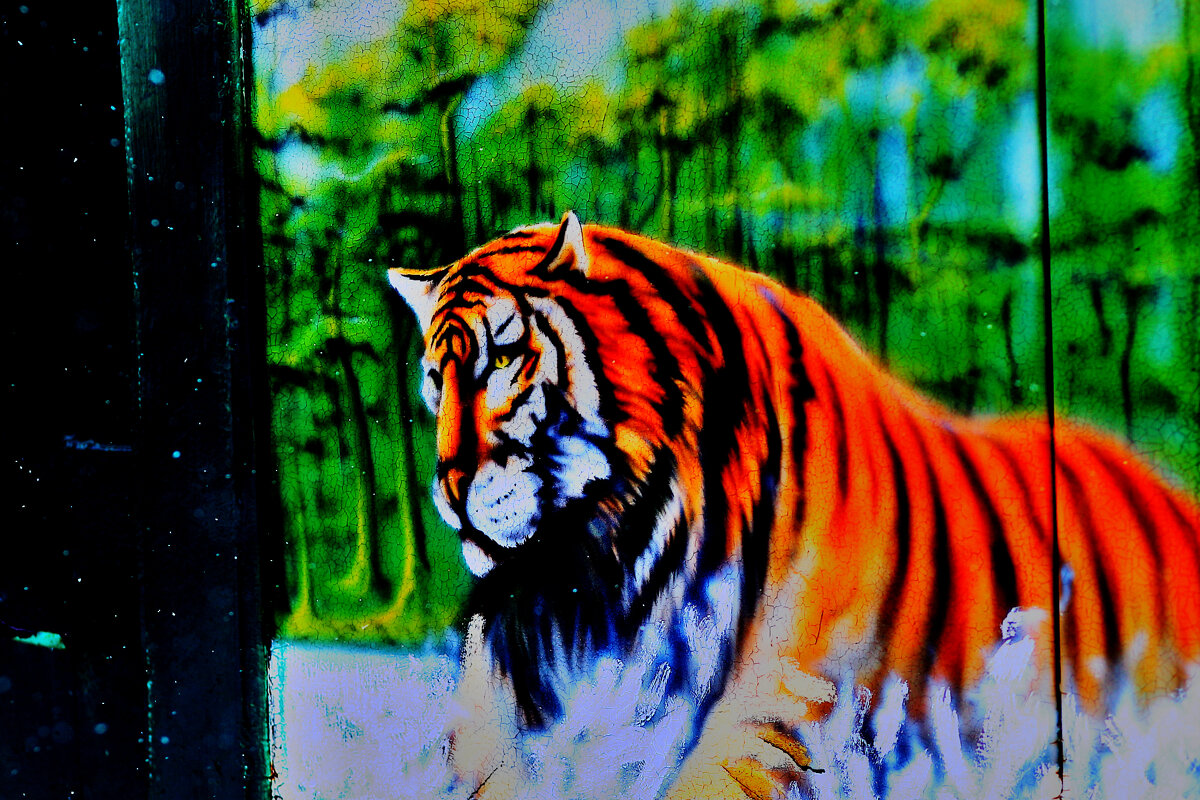 Тигр на заборе - Юрий Гайворонский