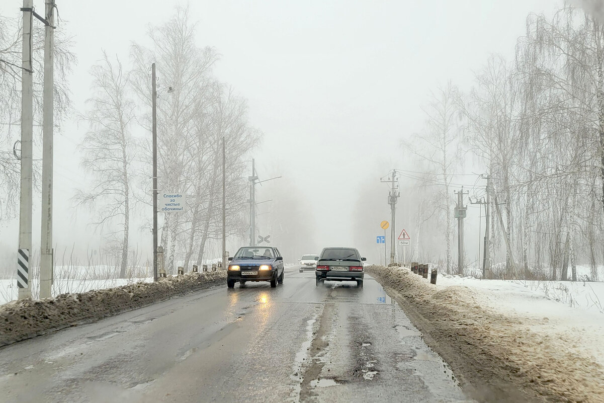 Зима туманная (конец января) - Татьяна 