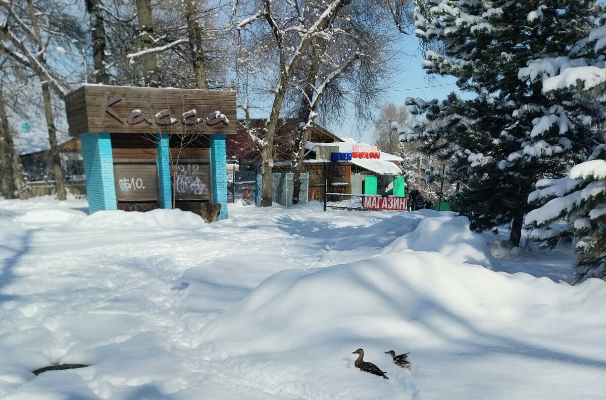 Almaty. - Murat Bukaev 