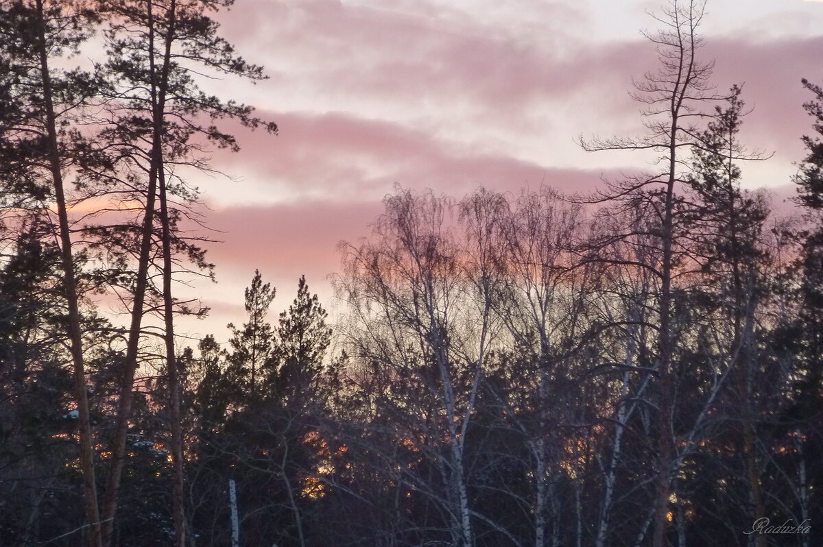 Зимнее небо на закате - Raduzka (Надежда Веркина)