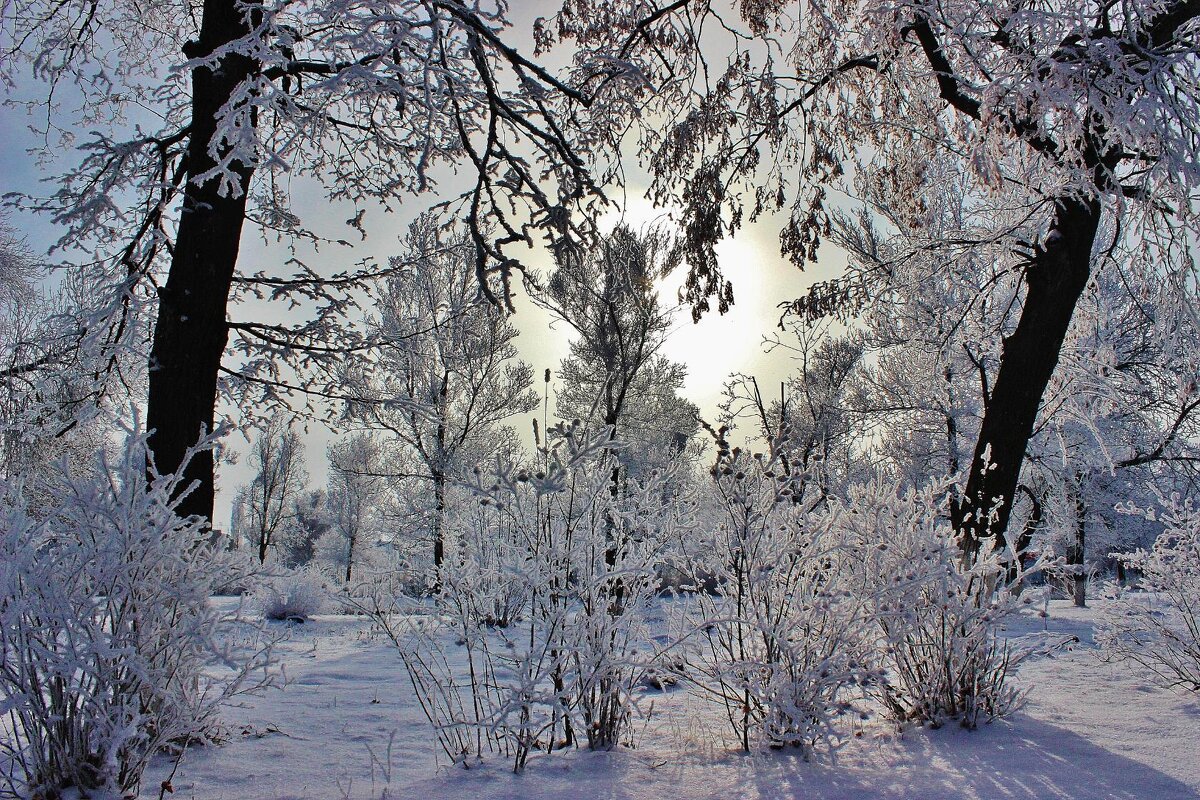 Зимнее солнце. - Восковых Анна Васильевна 