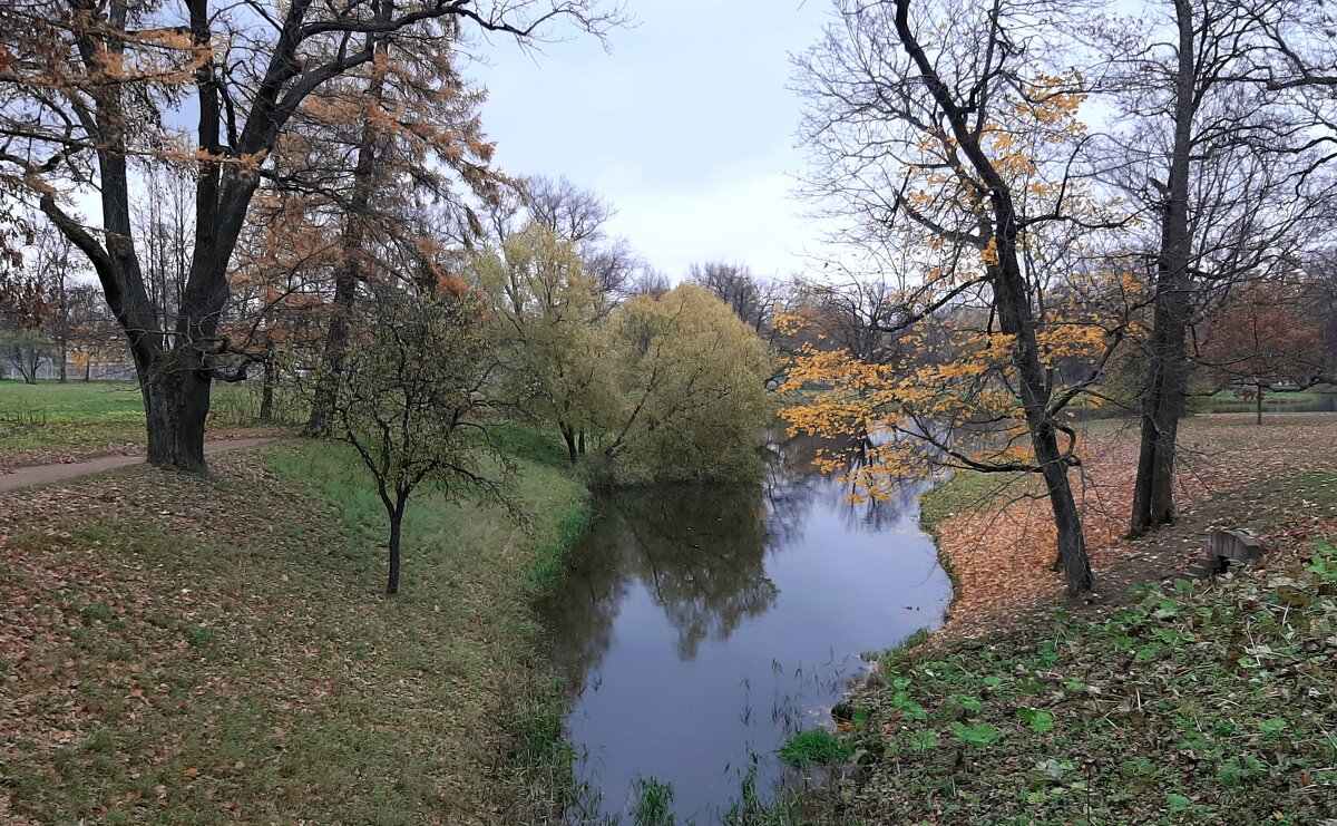 Александровский парк - Наталья Герасимова