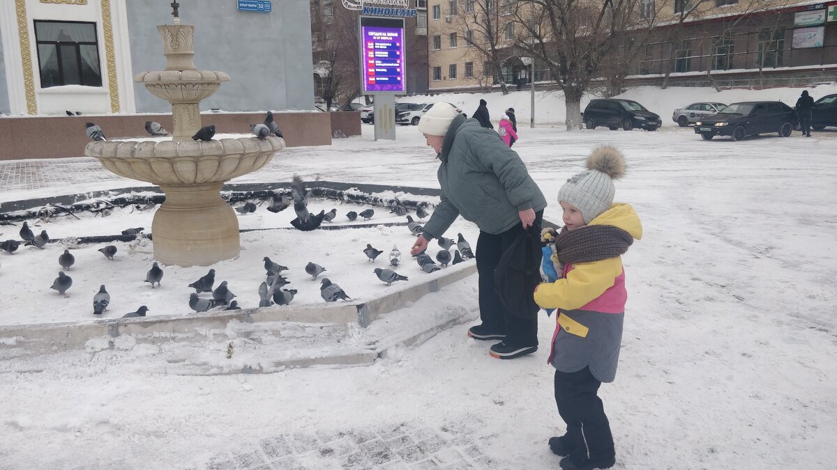 Голубки.Холод февраля. - Андрей Хлопонин