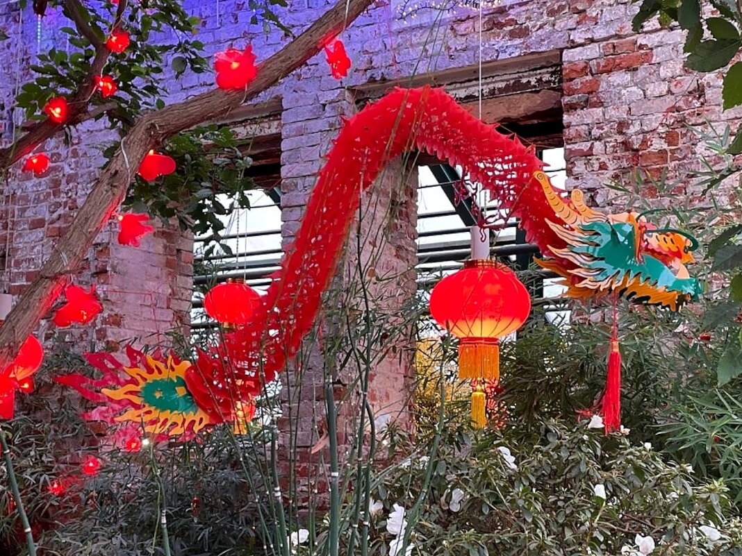 Китайский Новый год стартовал в "Аптекарском огороде" - Ольга Довженко