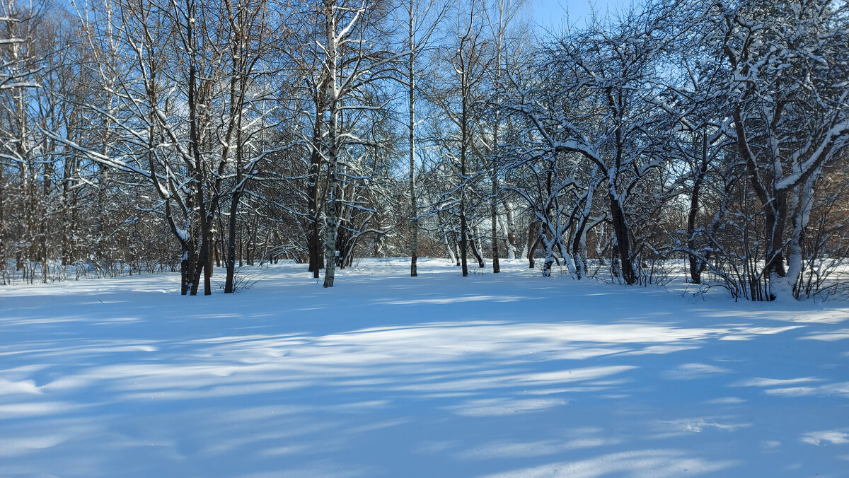 * - Владимир Безбородов