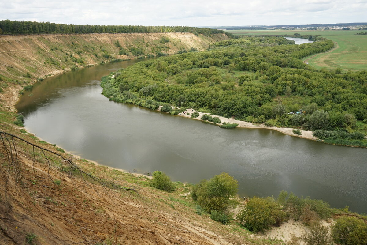 Урочище Кривоборье, Воронежская область, вид на реку Дон - Анастасия Софронова
