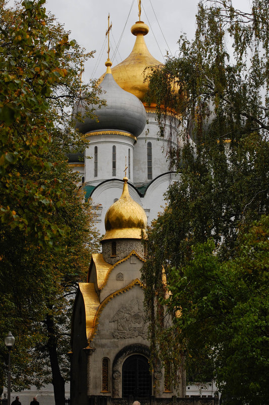 Новодевичий монастырь - Марина Медникова 
