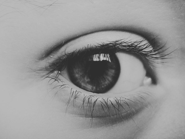 глаз - Алина 