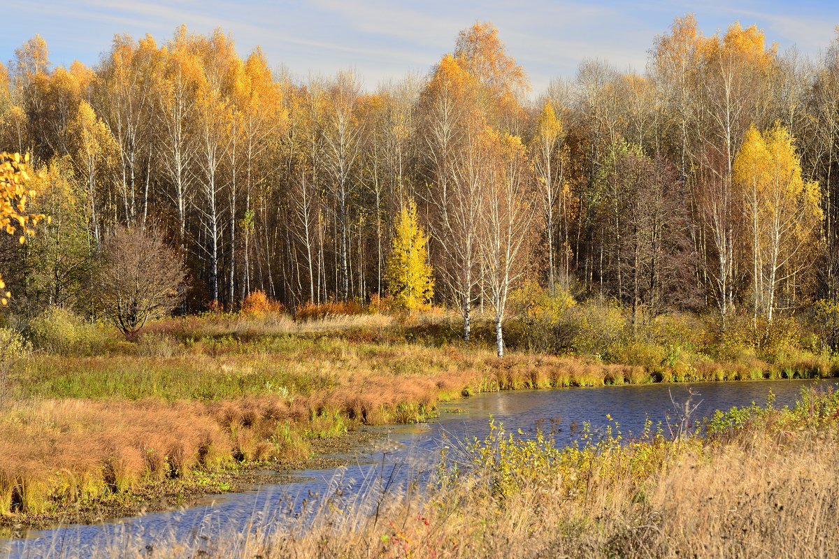 осень в Кондюрино - Андрей Смирнов