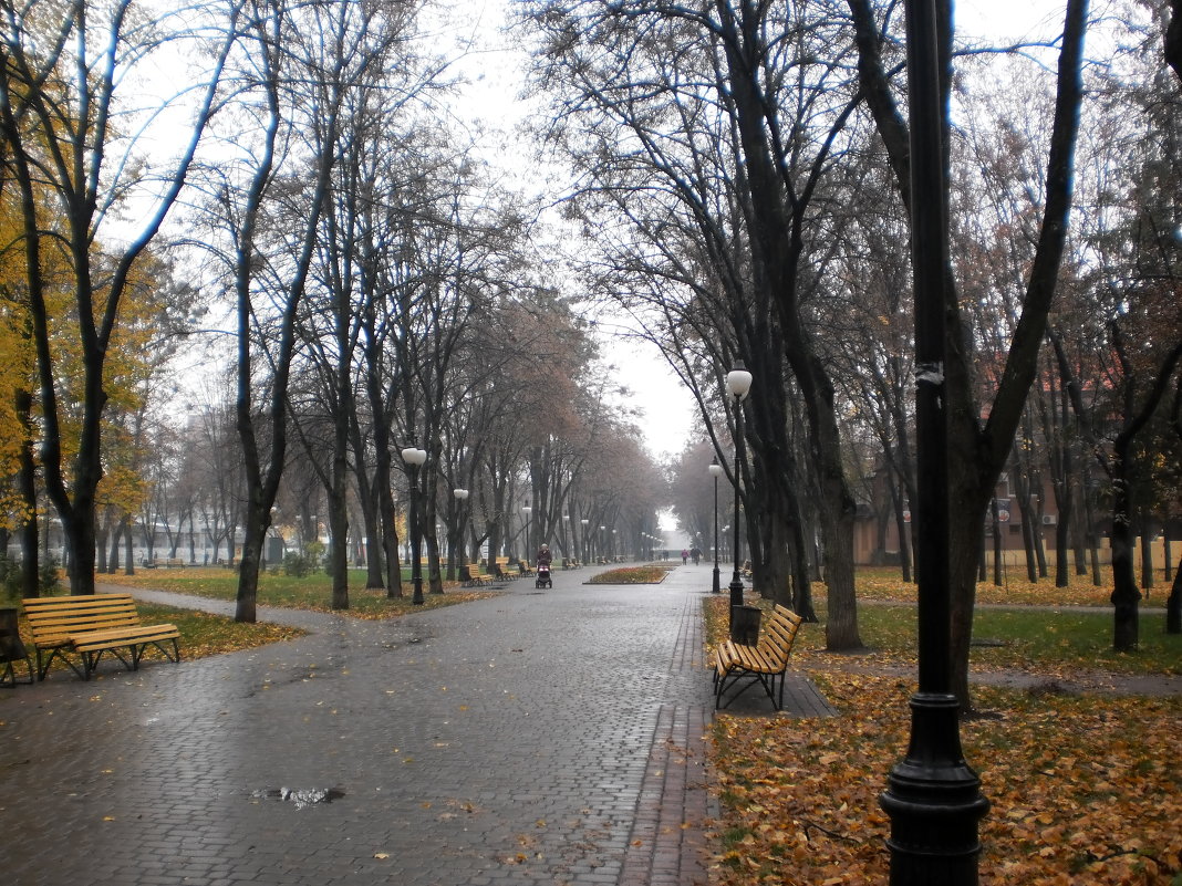Бульвар под дождём - Наталья Тимошенко