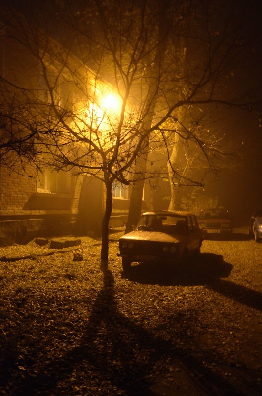 Туман...вечер...свет - Александр Коварский