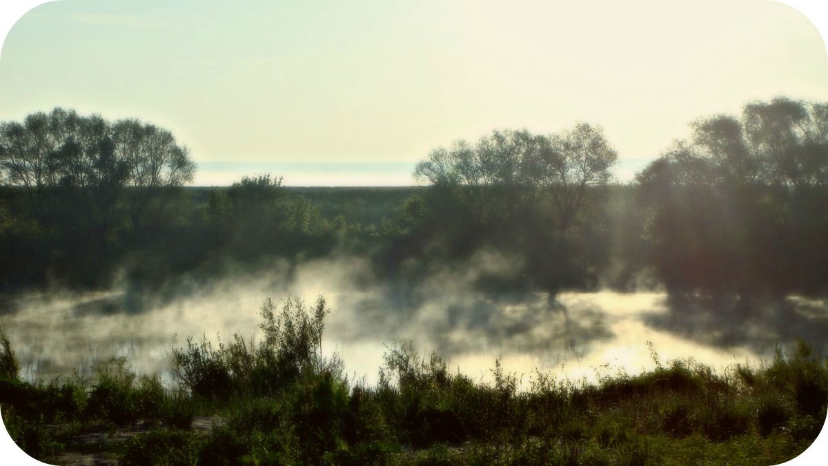 Утренний туман над рекой - Iri_S (Ирина Саянова)