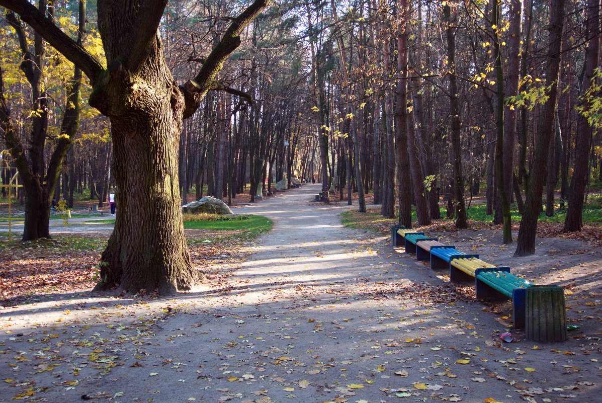 Осень в парке - Алексей 