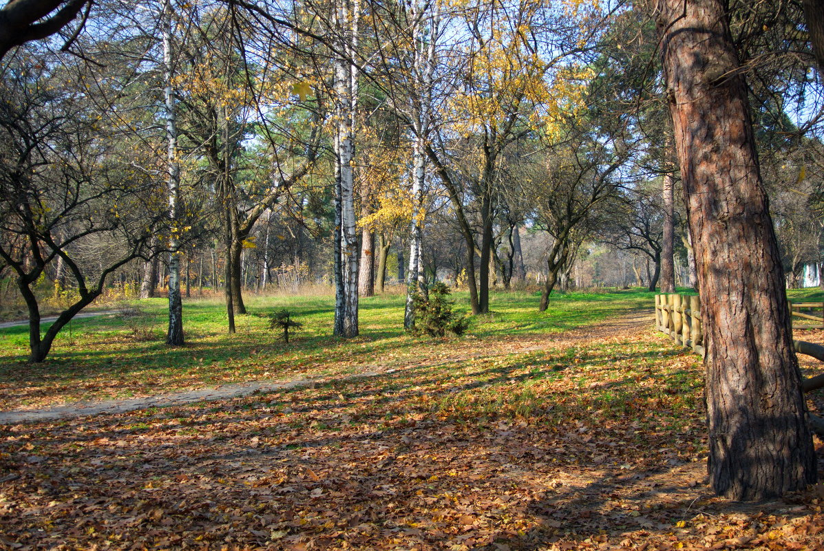 Осень - Алексей 