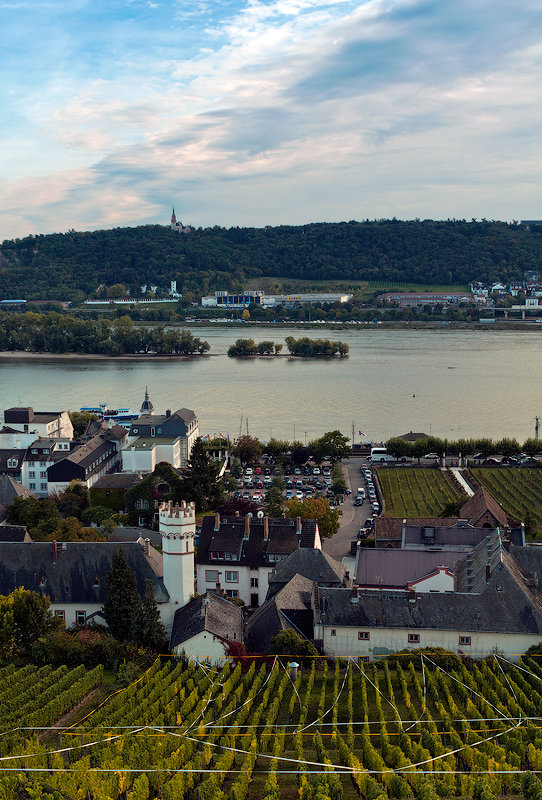 Rüdesheim am Rhein - Lina Kurbanovsky