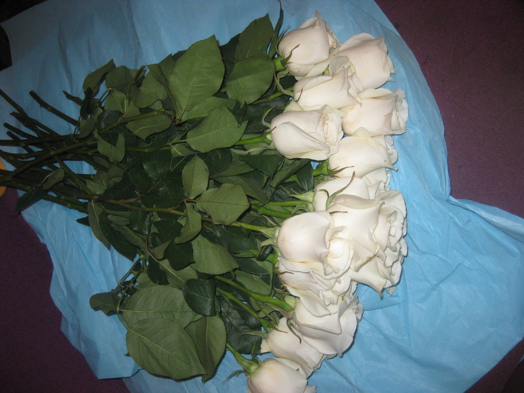 Белые розы - Валентина 