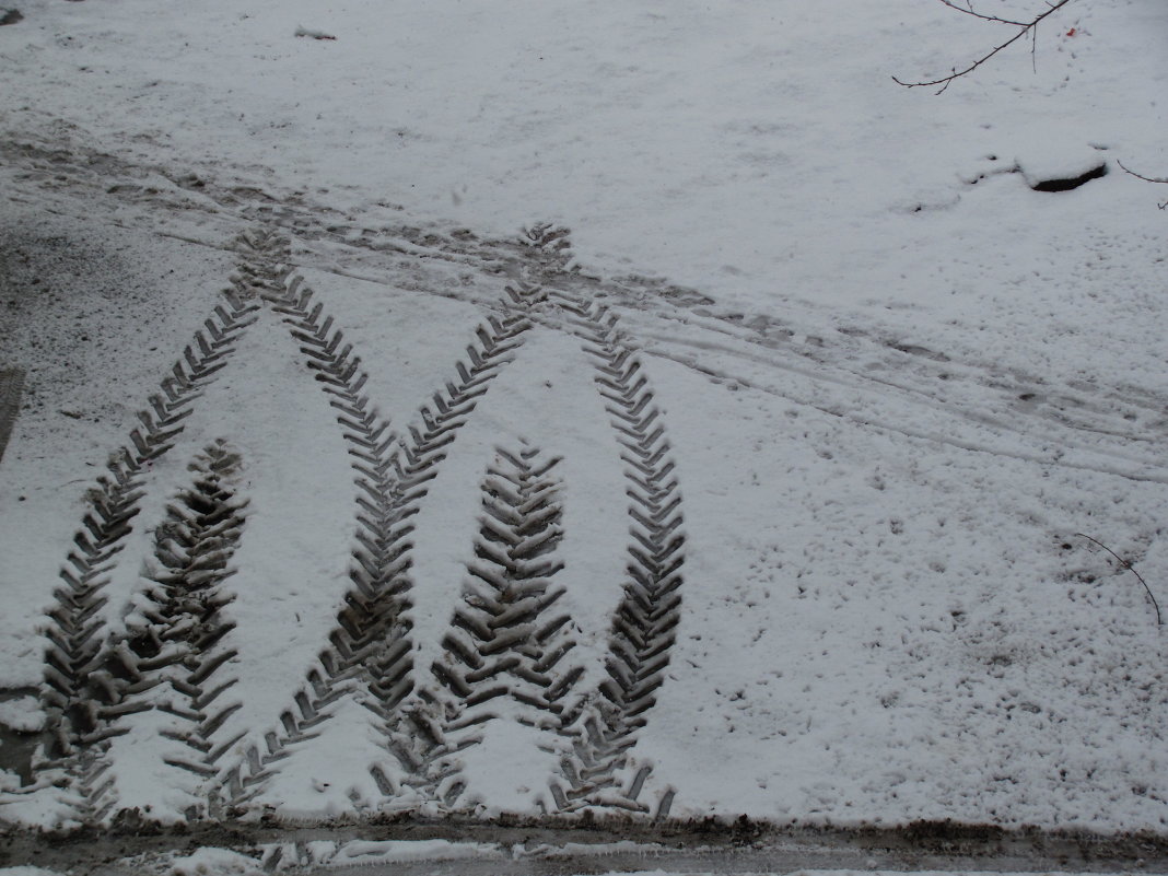 водитель-художник (01.03.2012) - Наталья Кочетова 