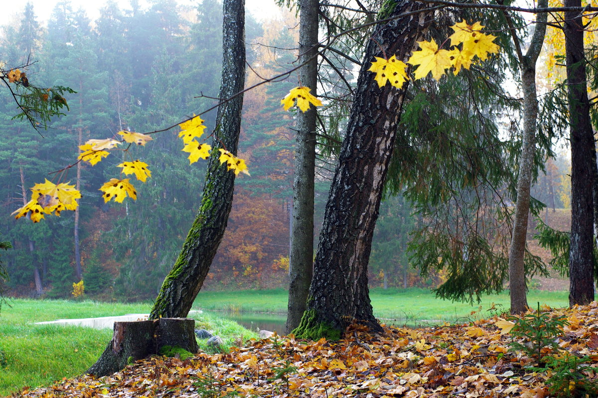 Rudens... - Айвар Вилюмсон