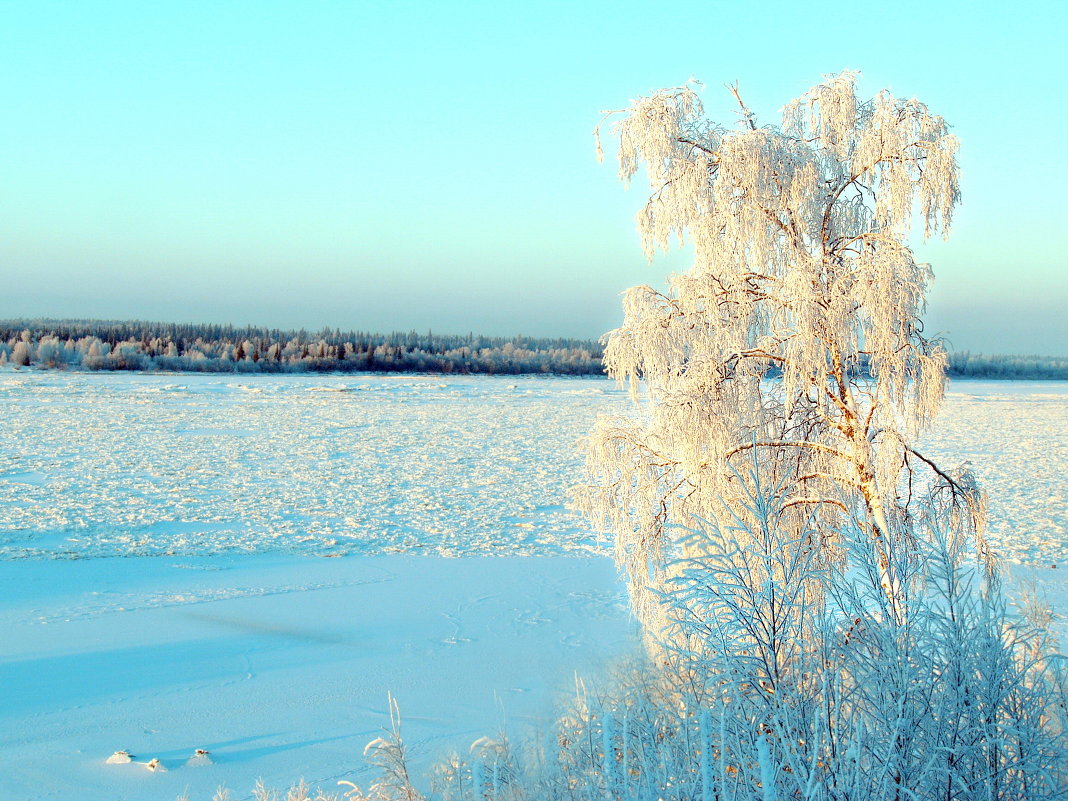 Ледостав - Stepan 